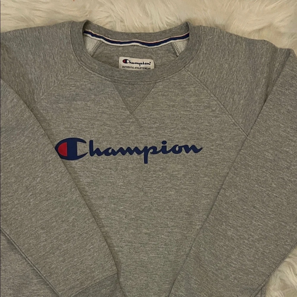 Champion Gray Sweater - Picture 2 of 4